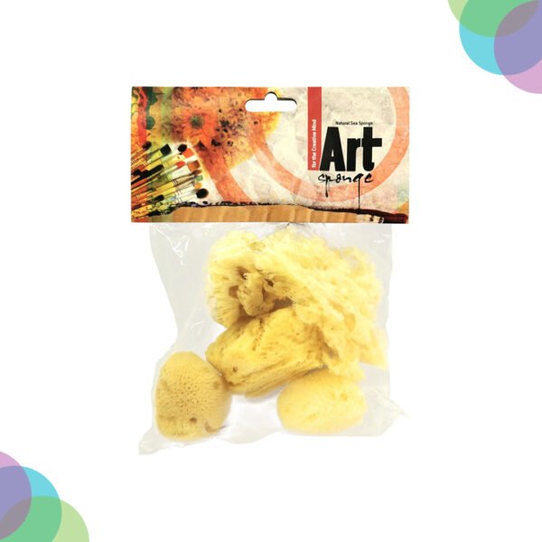 Art Sponge Natural Artist'S Sea Sponges Medium Variety Pack