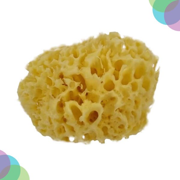 Art Sponge Natural  Sea Sponge Coarse 4-4.5 Inch