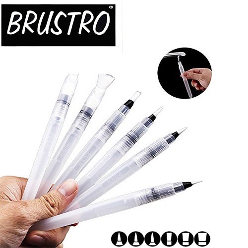 BRUSTRO Aqua Squezee Brushes Round & Flat Pack of 6