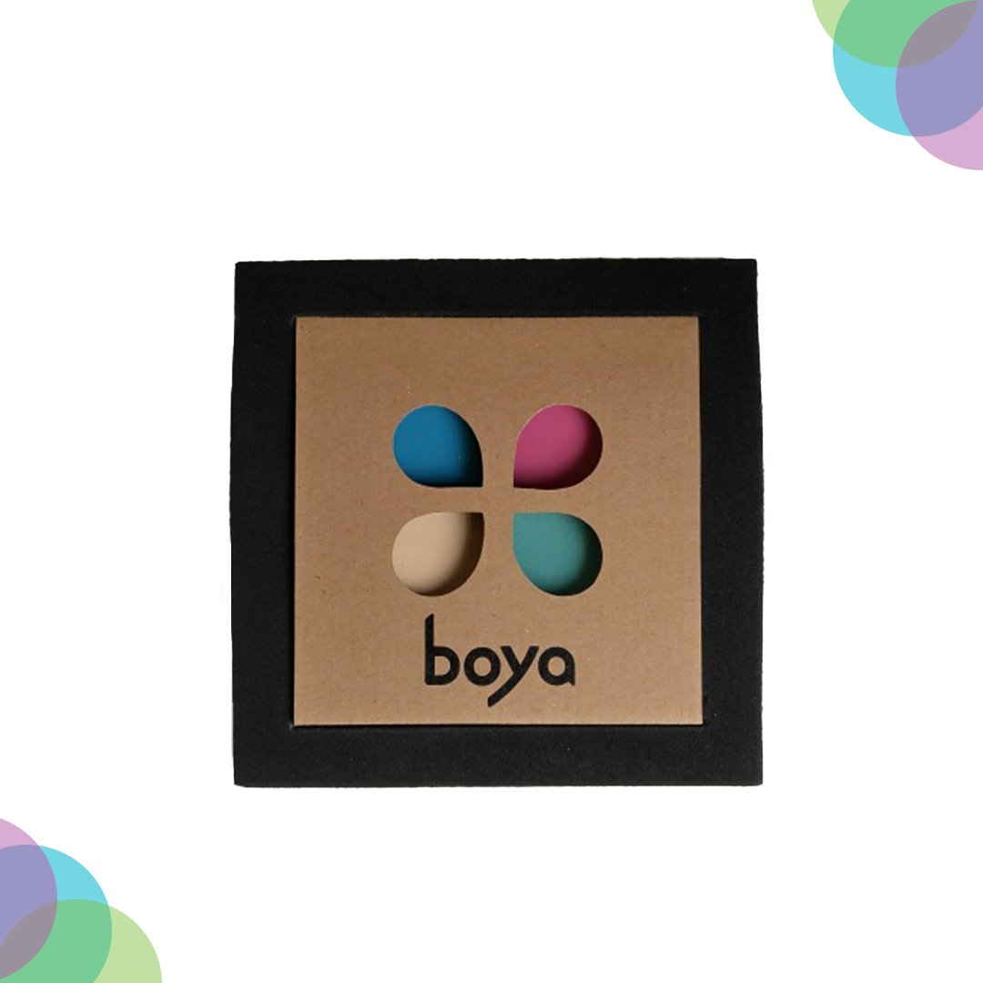 Boya Artist Crayons (Vintage Set Of 4)